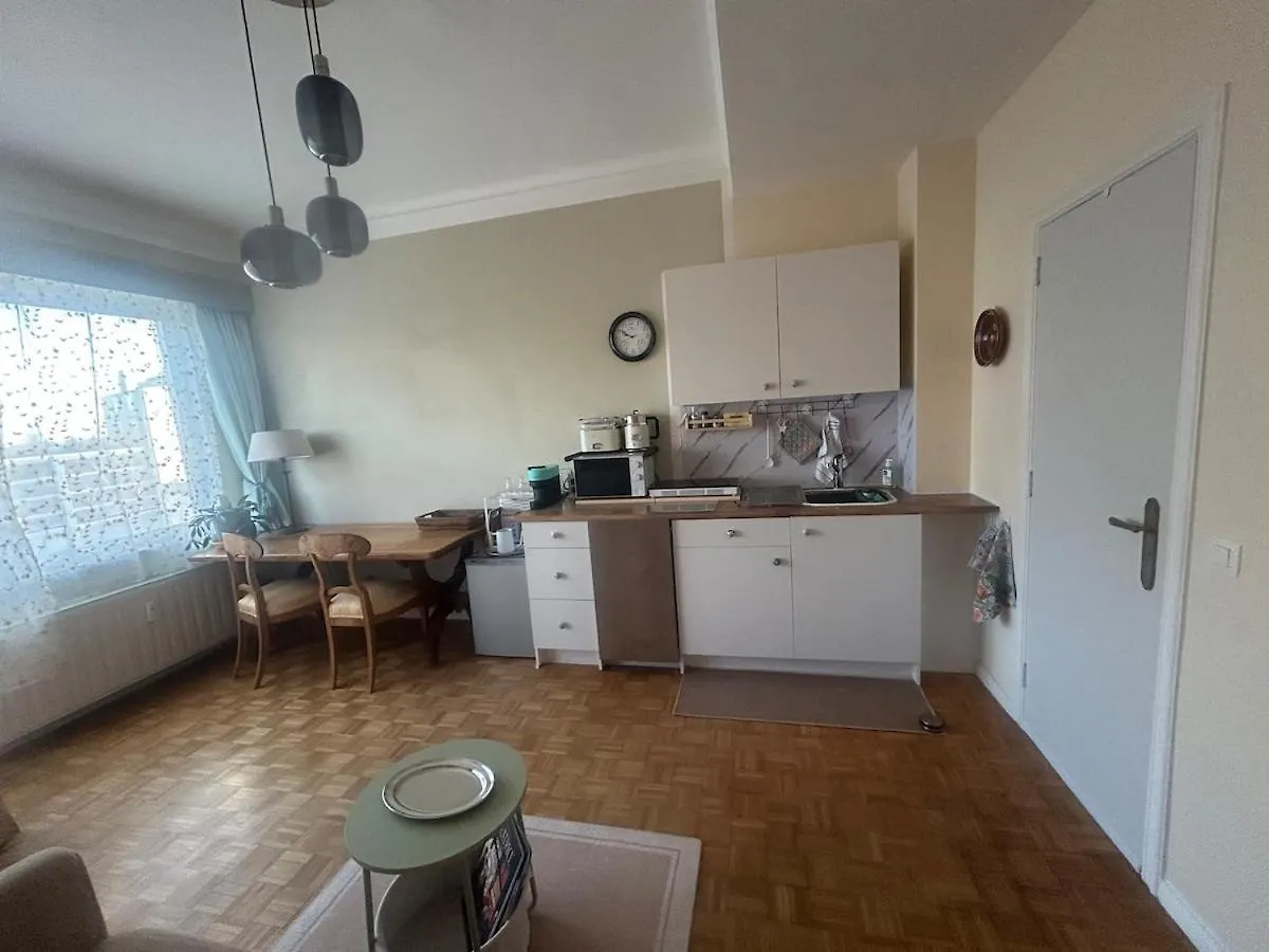 Beautiful Penthouse Apartment Bruxelles
