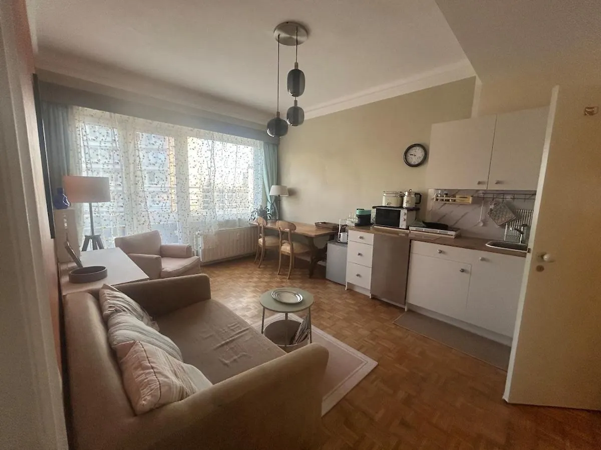 Beautiful Penthouse Apartment Bruxelles